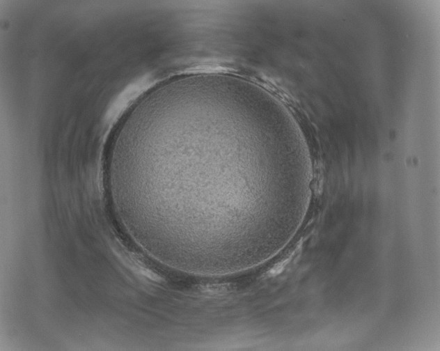 X0000075900296200609151418