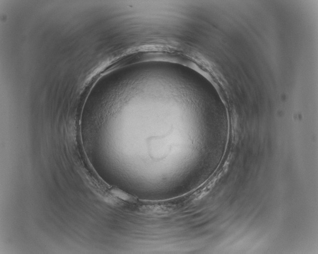 X0000075900297200609151418