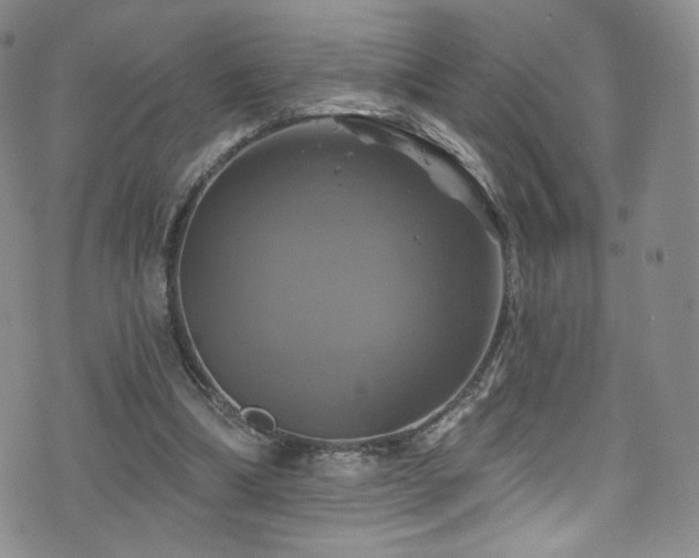 X0000075900298200609151418