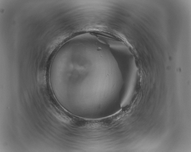 X0000075900299200609151418