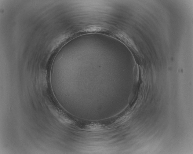 X0000075900300200609151418