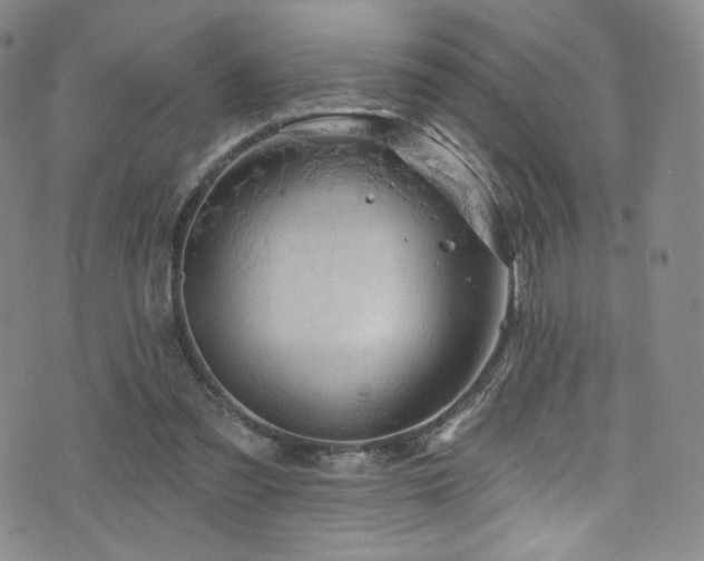 X0000075900301200609151418