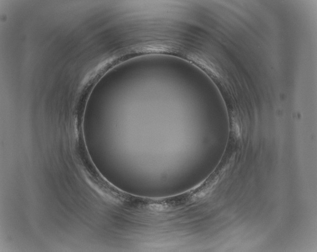 X0000075900302200609151418