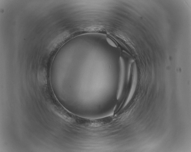 X0000075900303200609151418