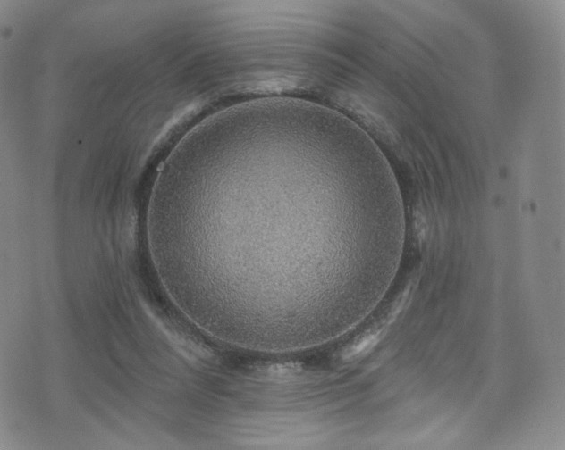 X0000075900304200609151418