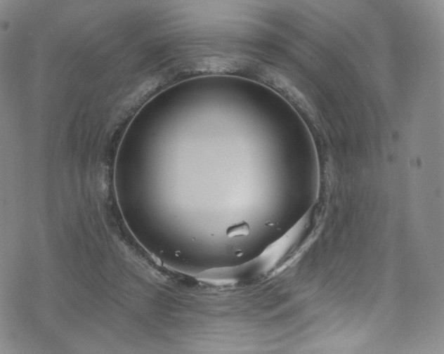 X0000075900305200609151418