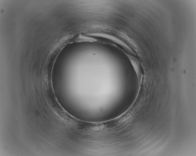 X0000075900306200609151418