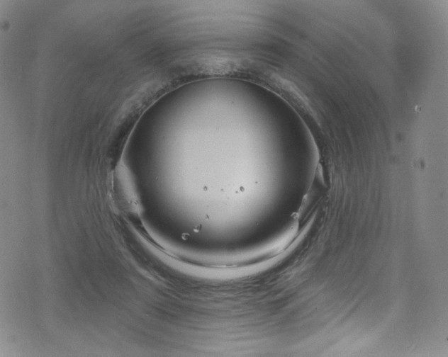 X0000075900307200609151418