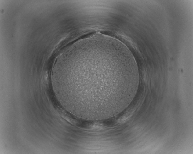 X0000075900308200609151418