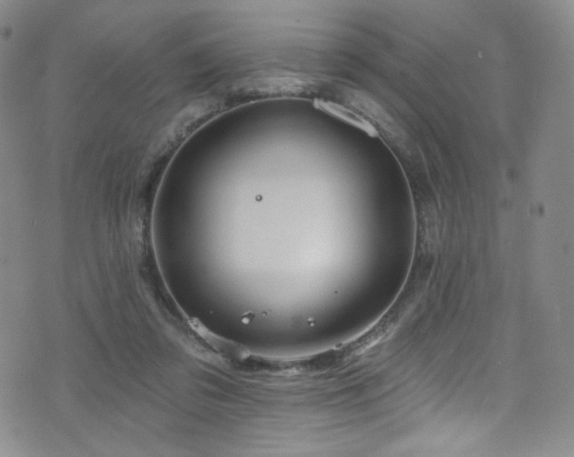 X0000075900309200609151418