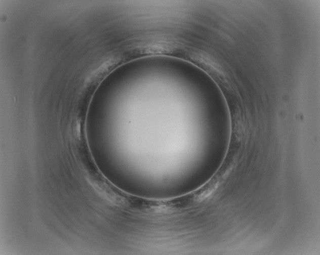 X0000075900310200609151418