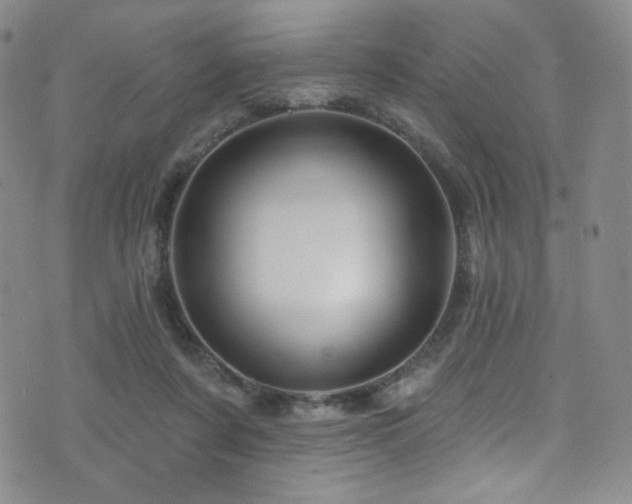 X0000075900311200609151418