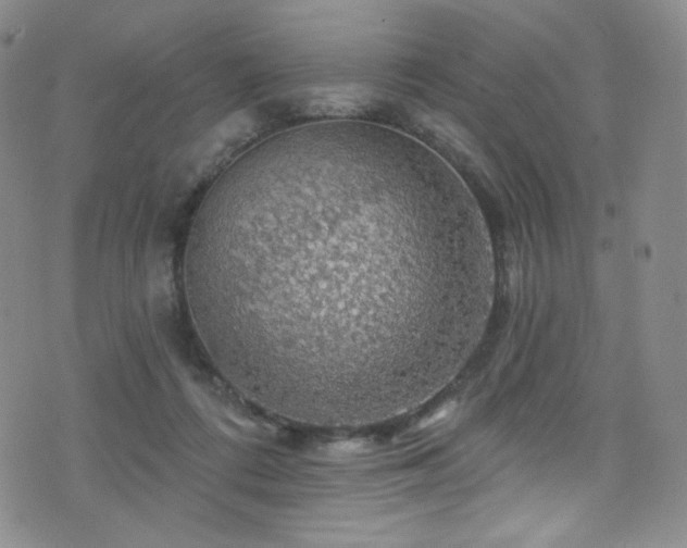 X0000075900312200609151418