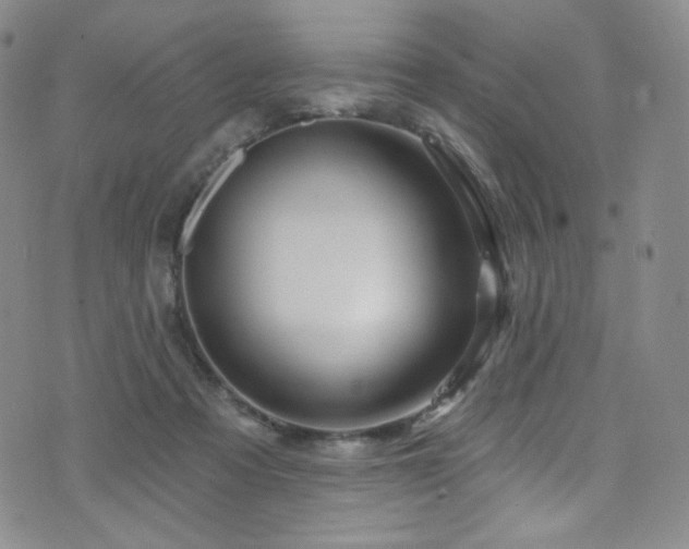 X0000075900313200609151418