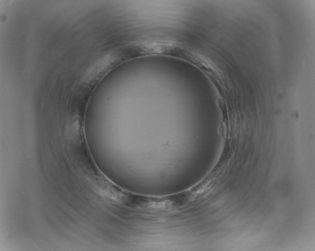 X0000075900314200609151418