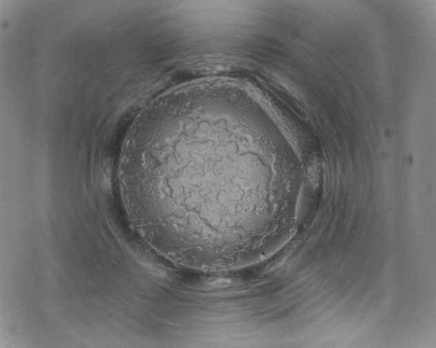 X0000075900315200609151418