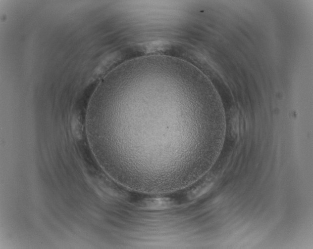 X0000075900316200609151418