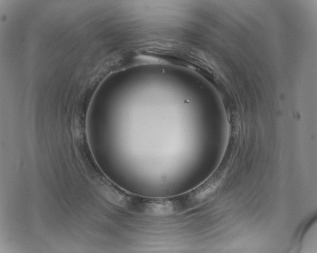 X0000075900317200609151418