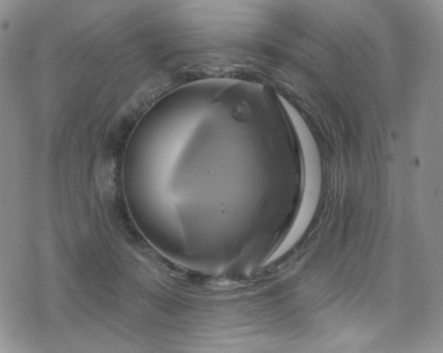 X0000075900319200609151418