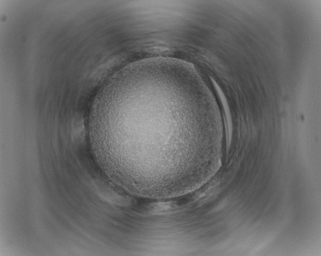 X0000075900320200609151418