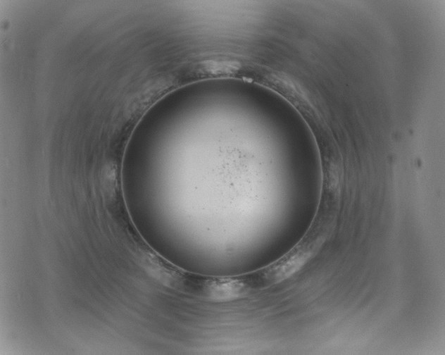 X0000075900321200609151418