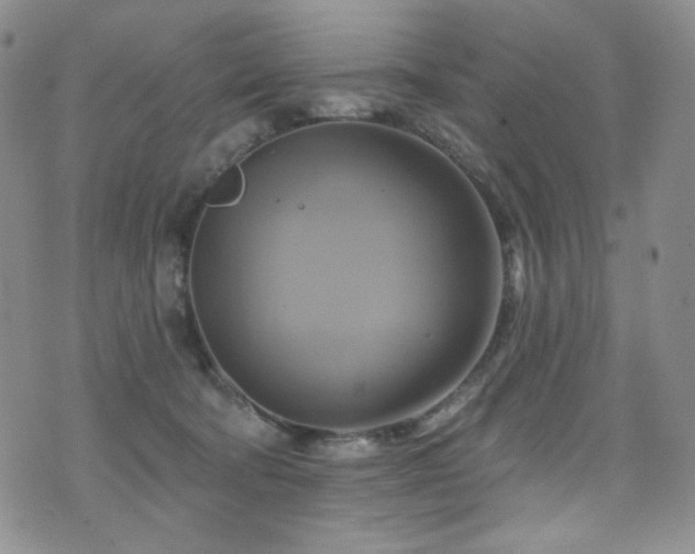 X0000075900322200609151418