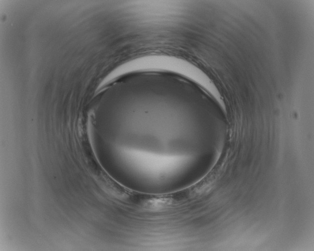 X0000075900323200609151418