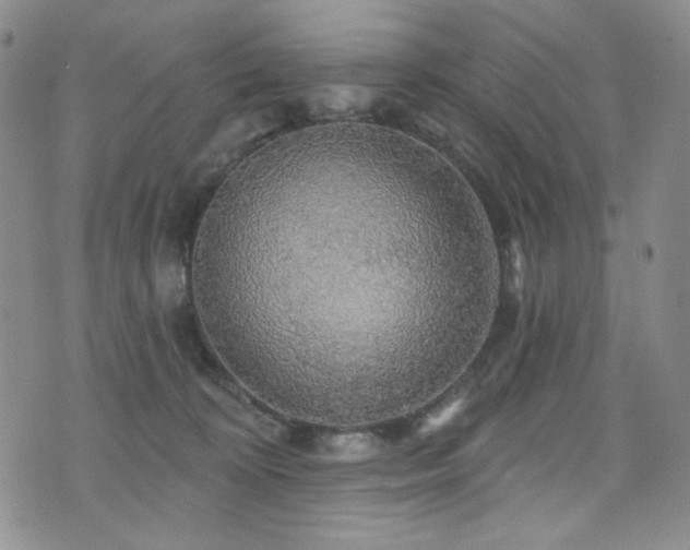 X0000075900324200609151418