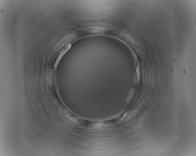 X0000075900325200609151418