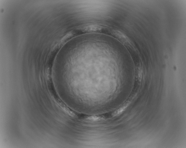 X0000075900326200609151418