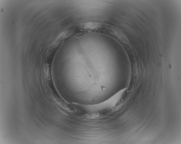 X0000075900328200609151418