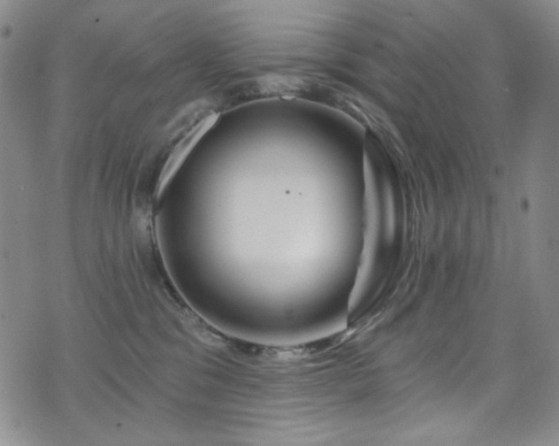 X0000075900329200609151418