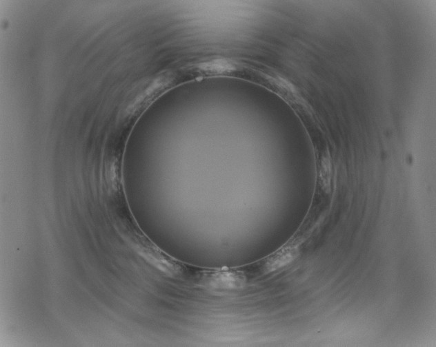 X0000075900330200609151418