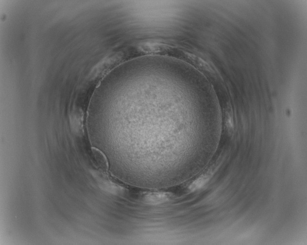 X0000075900332200609151418