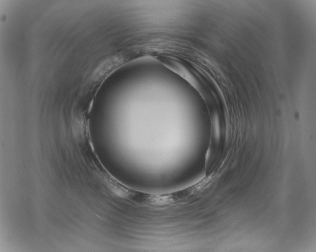 X0000075900333200609151418