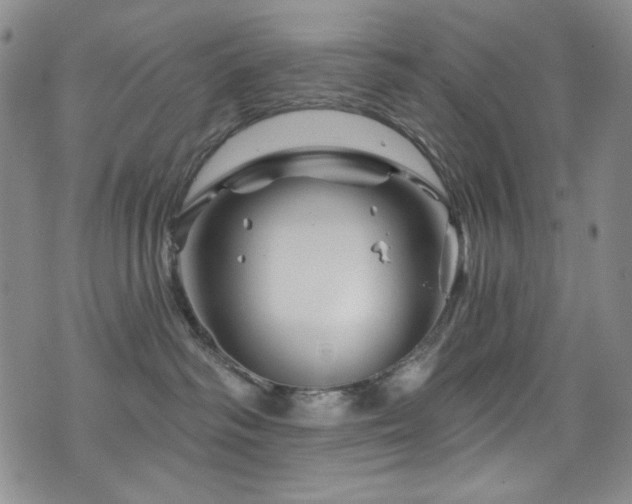 X0000075900334200609151418