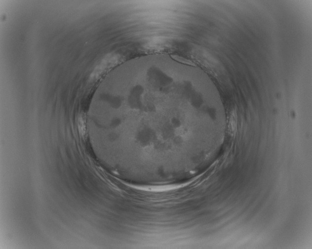 X0000075900335200609151418