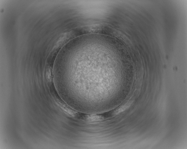 X0000075900336200609151418