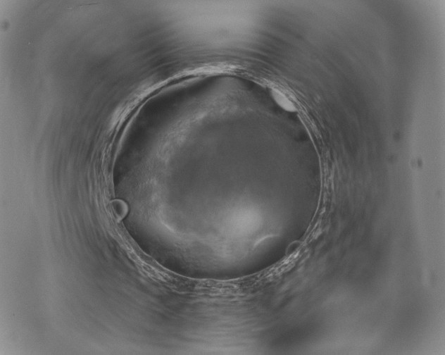 X0000075900337200609151417