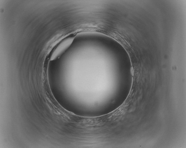 X0000075900338200609151417