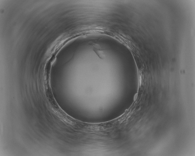 X0000075900339200609151417