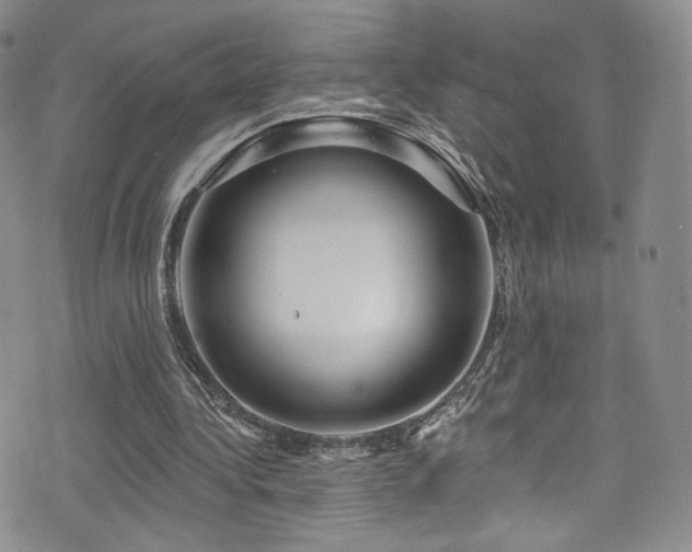 X0000075900340200609151417