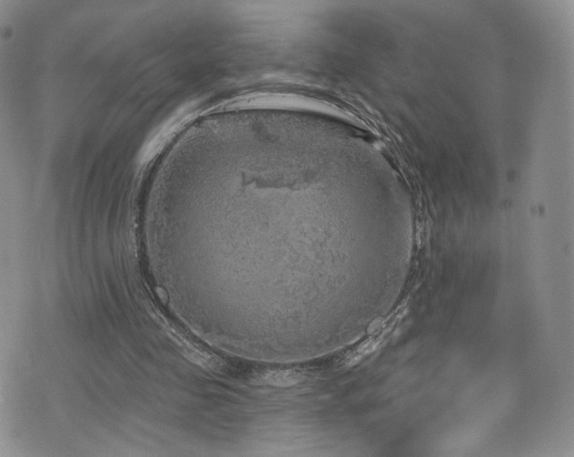 X0000075900341200609151417