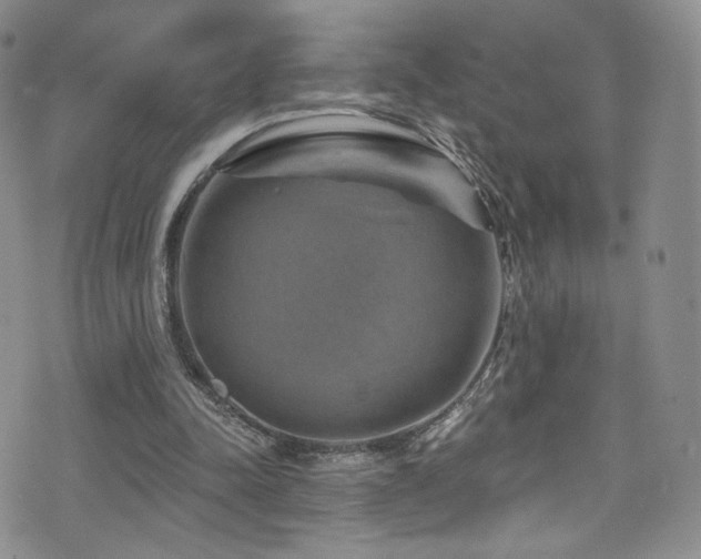 X0000075900342200609151417