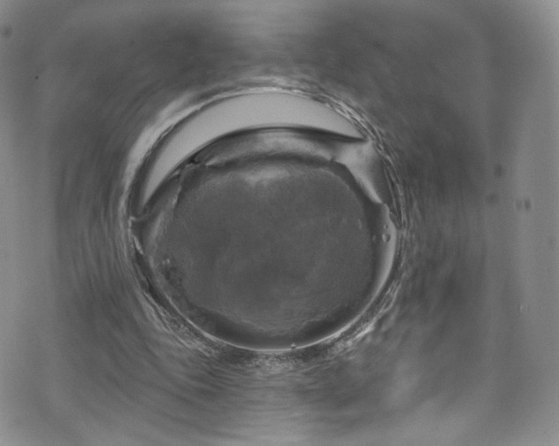 X0000075900343200609151417