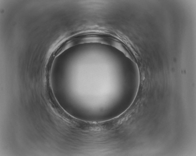 X0000075900344200609151417