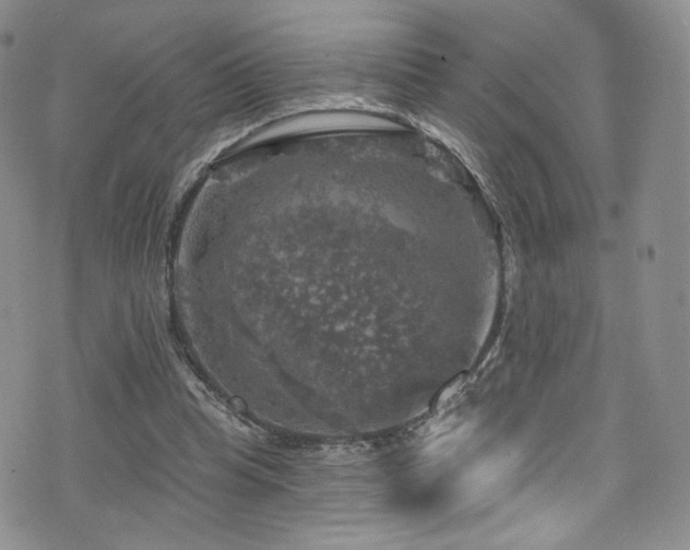 X0000075900345200609151417