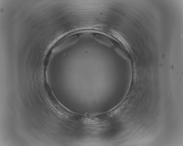 X0000075900346200609151417