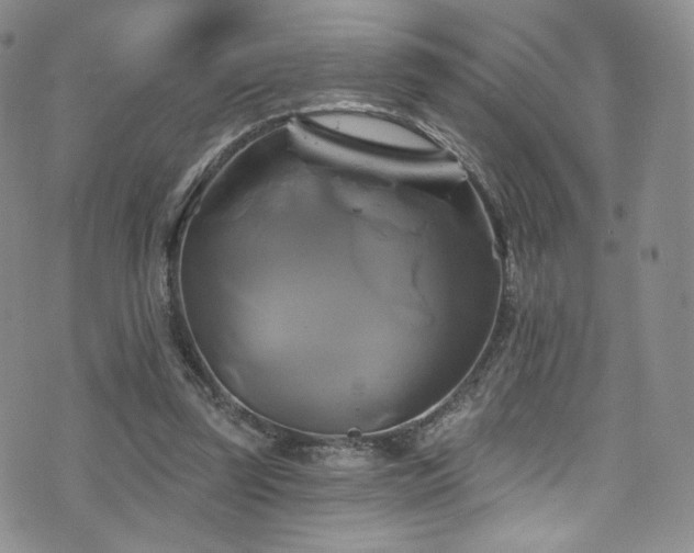 X0000075900347200609151417