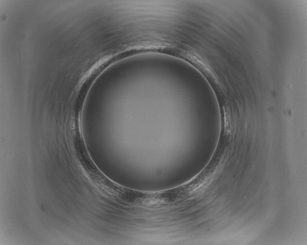 X0000075900348200609151417